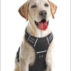 Atopark Dog Harness
